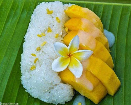 Photo Galleries about food